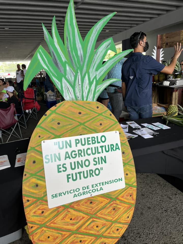 Eventos | Florida
